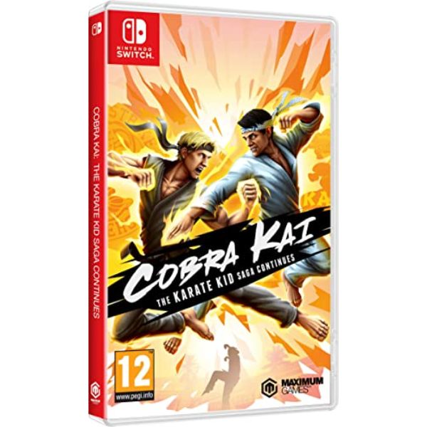 Cobra Kai : The Karate Kid Continues (Nintendo Switch)